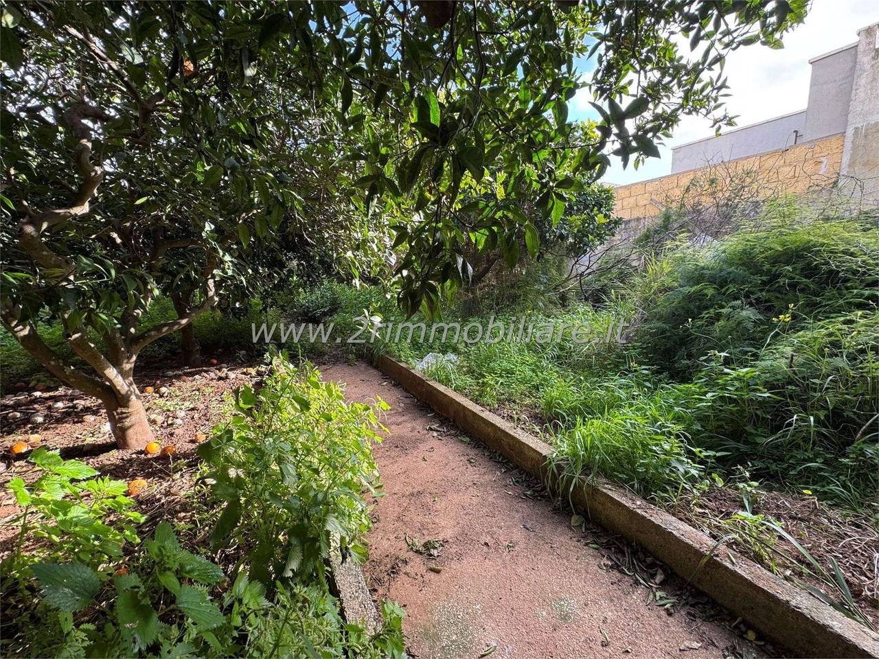 immagine annuncio 8 di 12