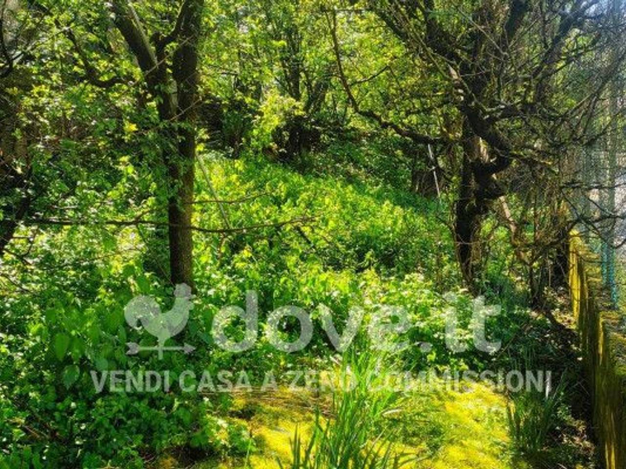 immagine annuncio 11 di 14