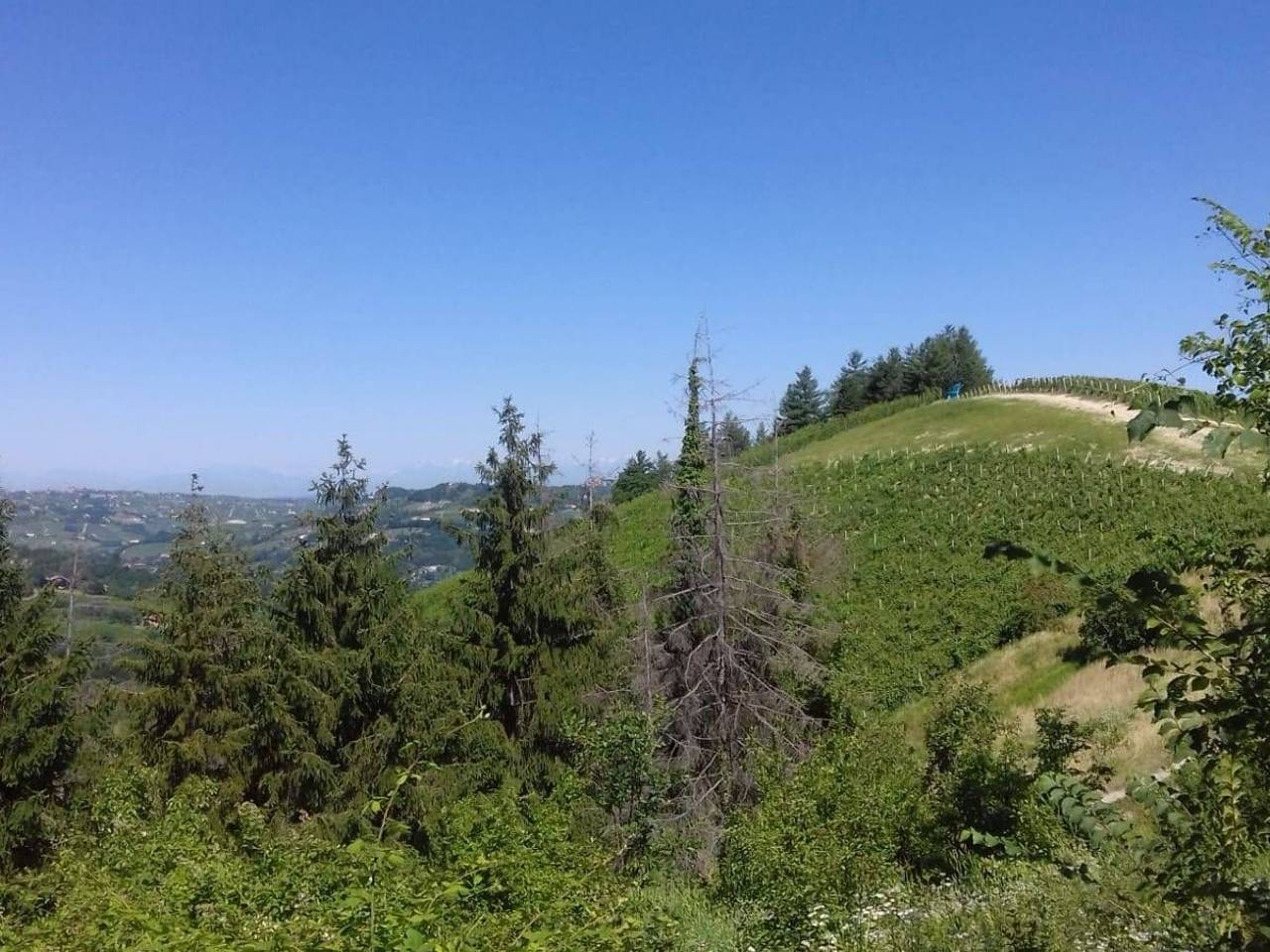 immagine annuncio 13 di 15