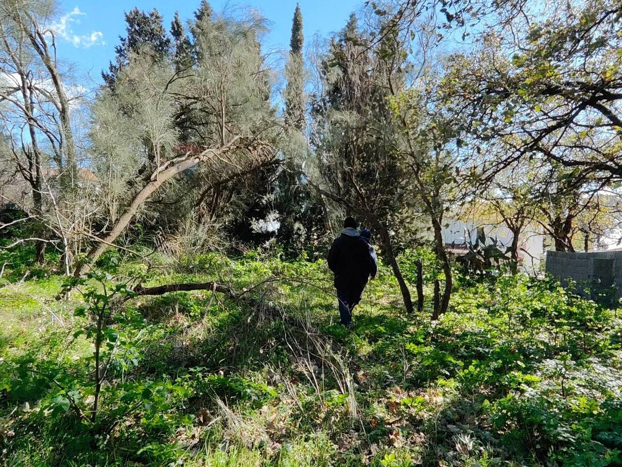 immagine annuncio 7 di 14