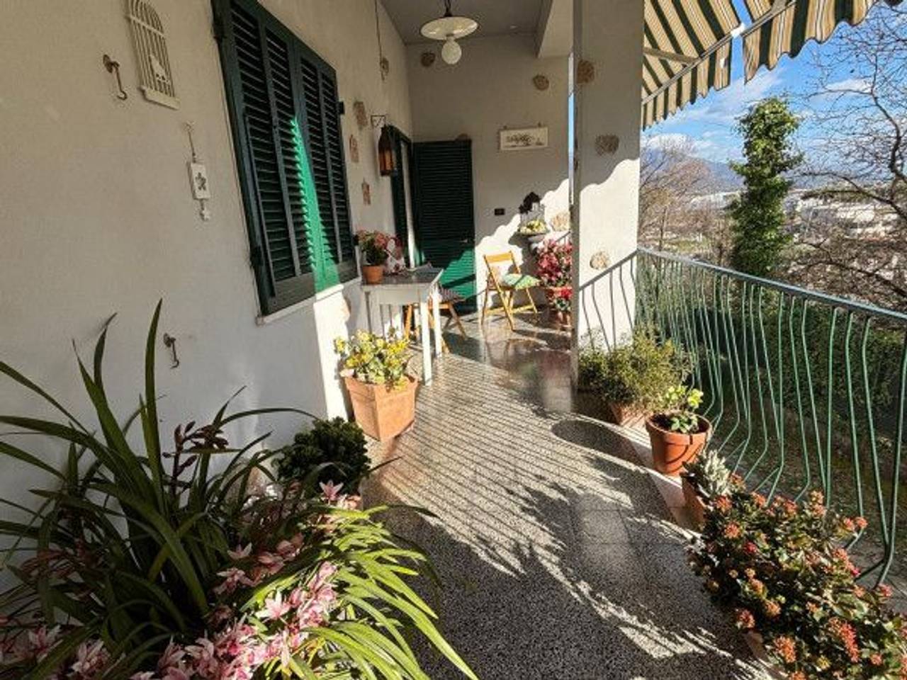 immagine annuncio 9 di 12