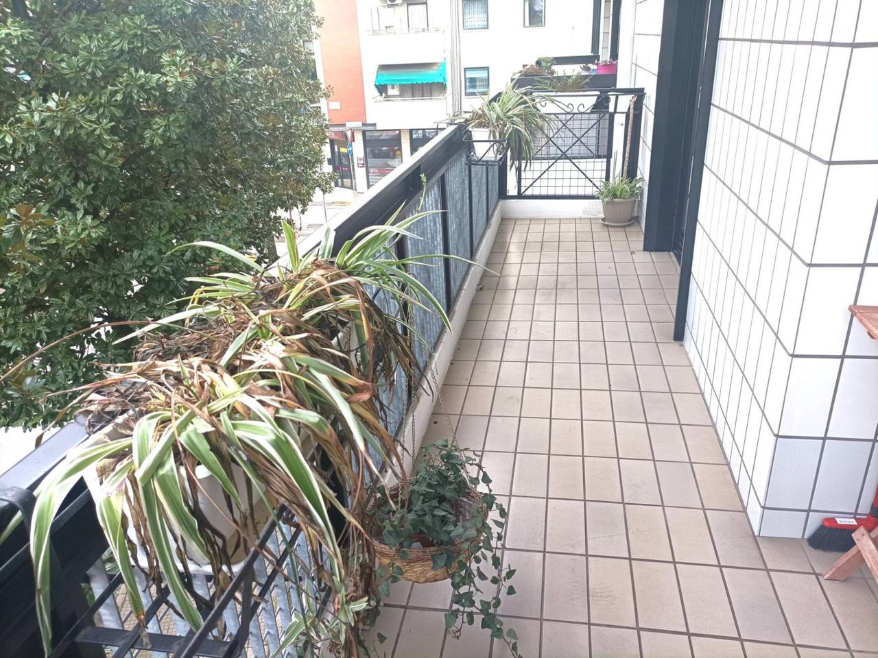 immagine annuncio 8 di 14