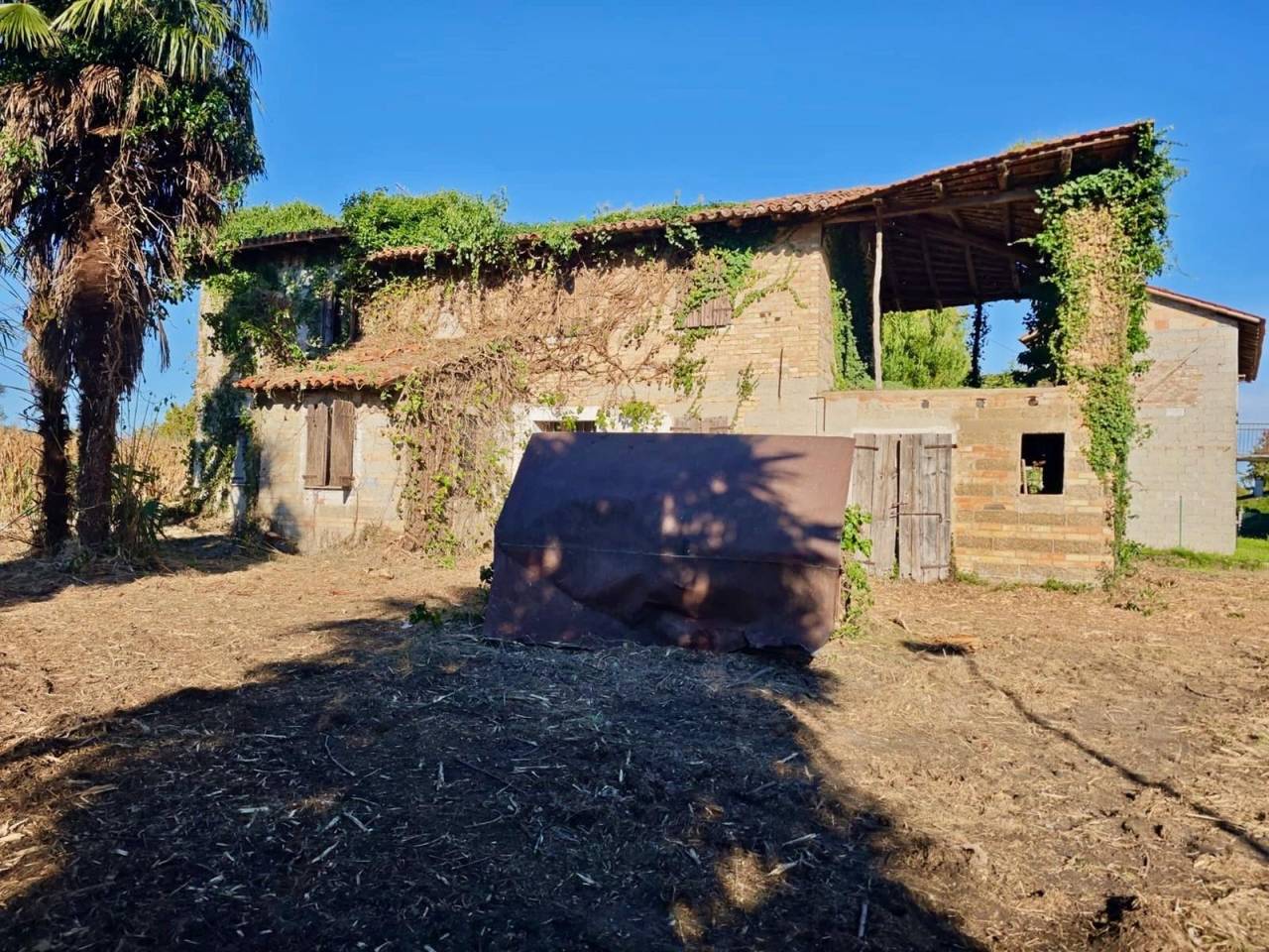 immagine annuncio 7 di 8