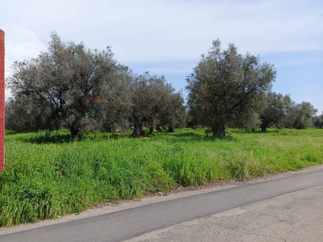 immagine annuncio 2 di 6