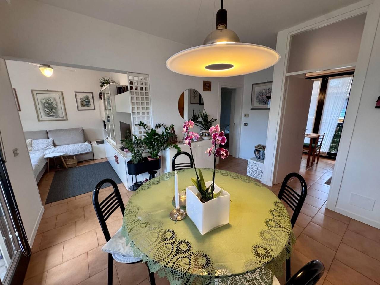 immagine annuncio 2 di 14