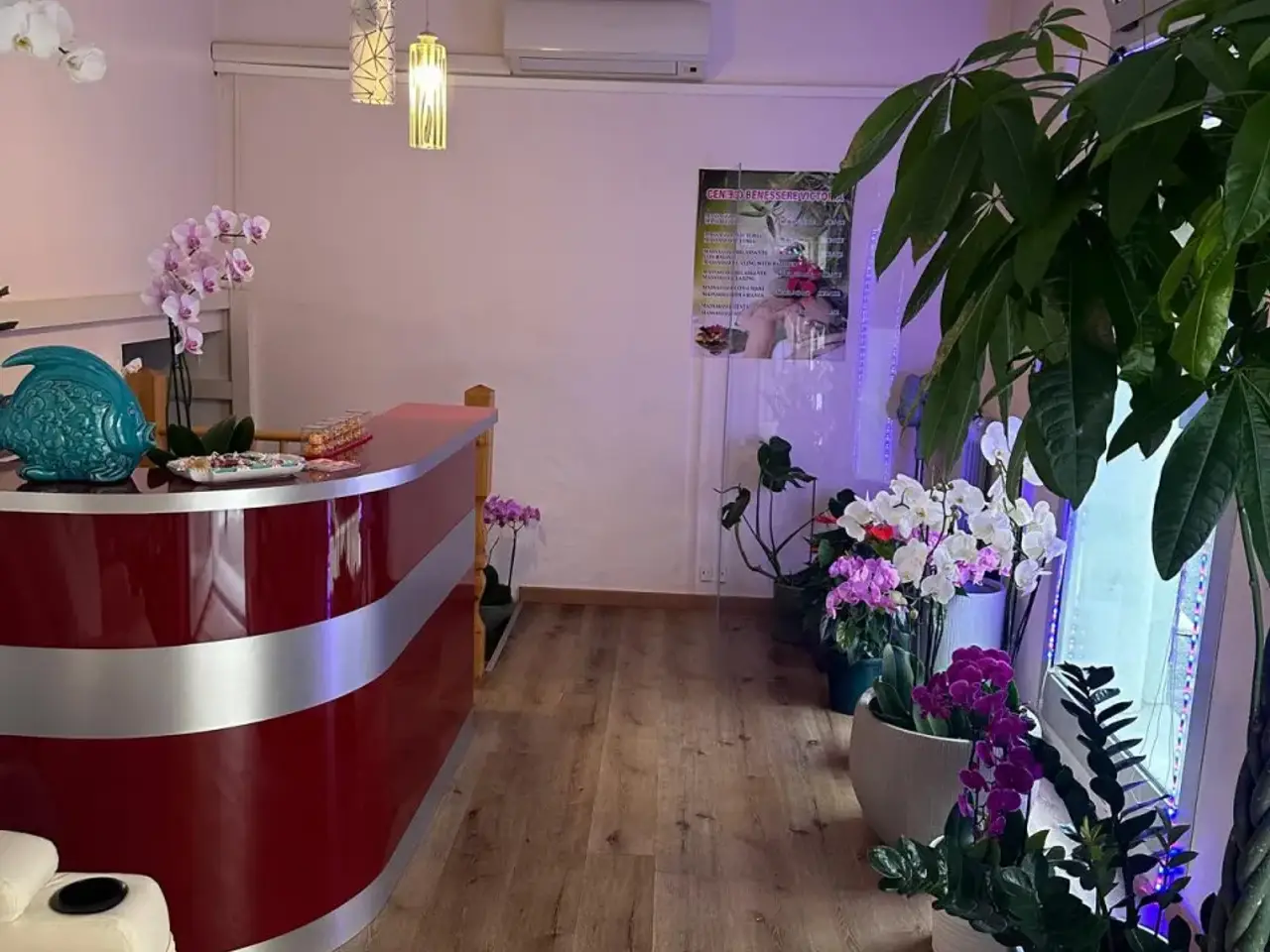 Solarium in Via di Bellariva, Firenze, {3} - Foto 1
