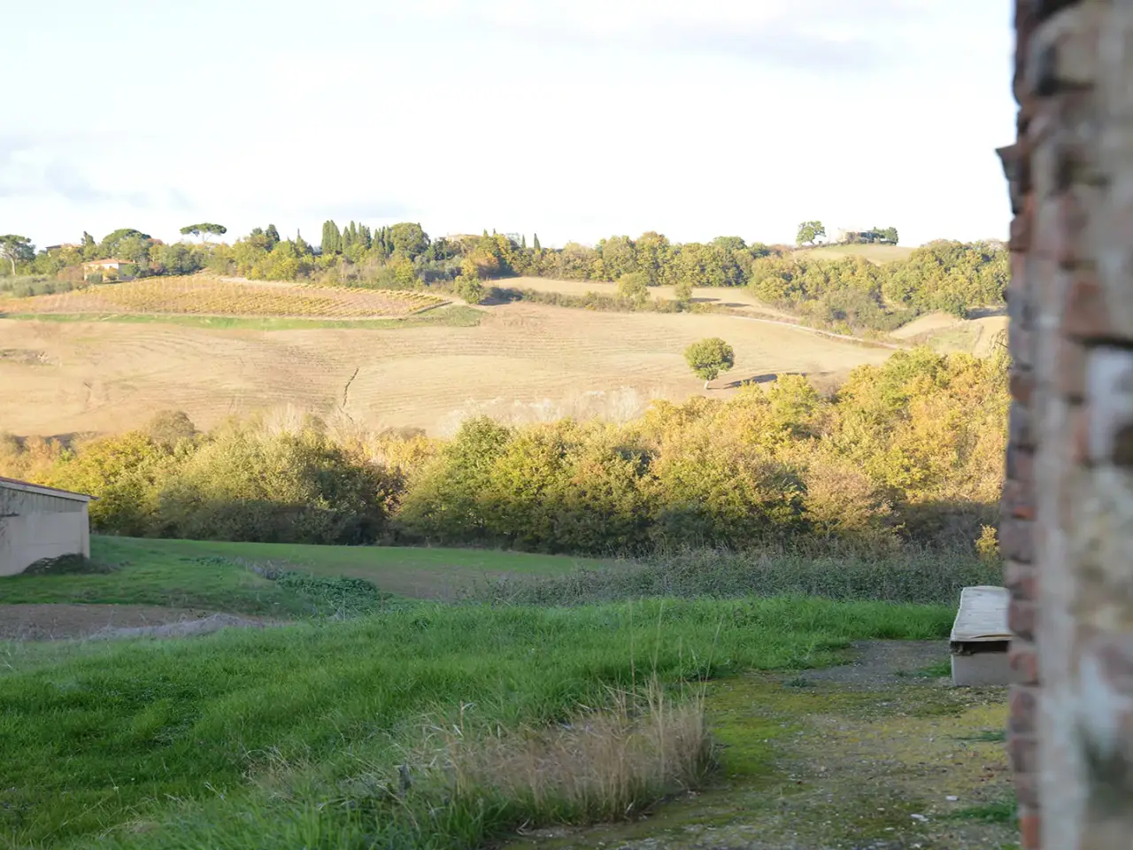 Azienda agricola in , Montepulciano, {3} - Foto 1
