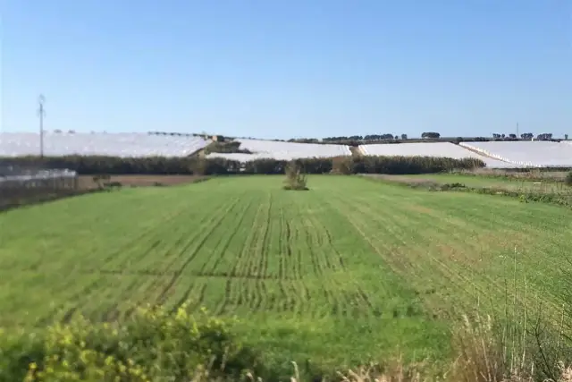 Terreno agricolo, Noto - Foto 1