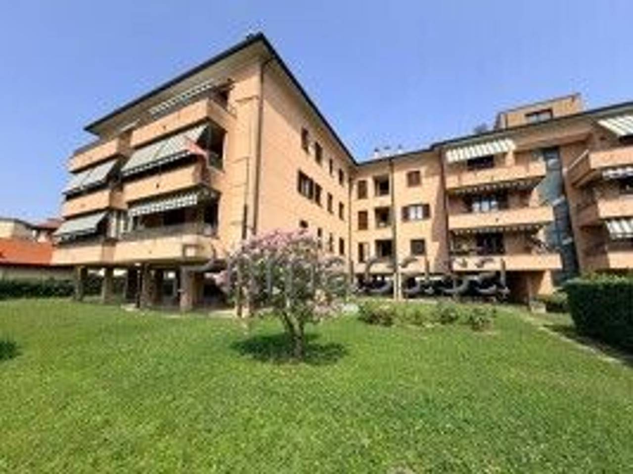immagine annuncio 1 di 15