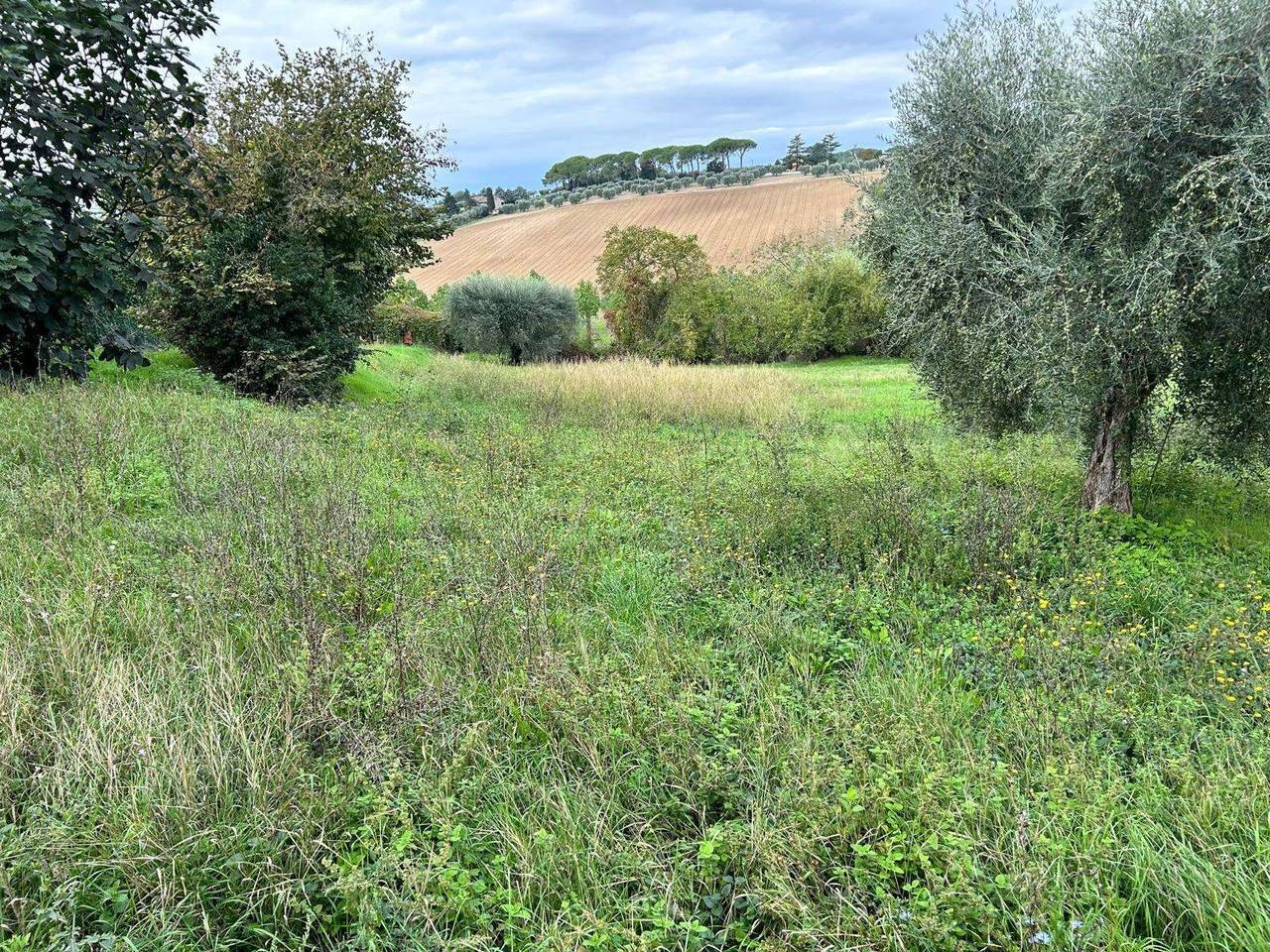 immagine annuncio 4 di 11