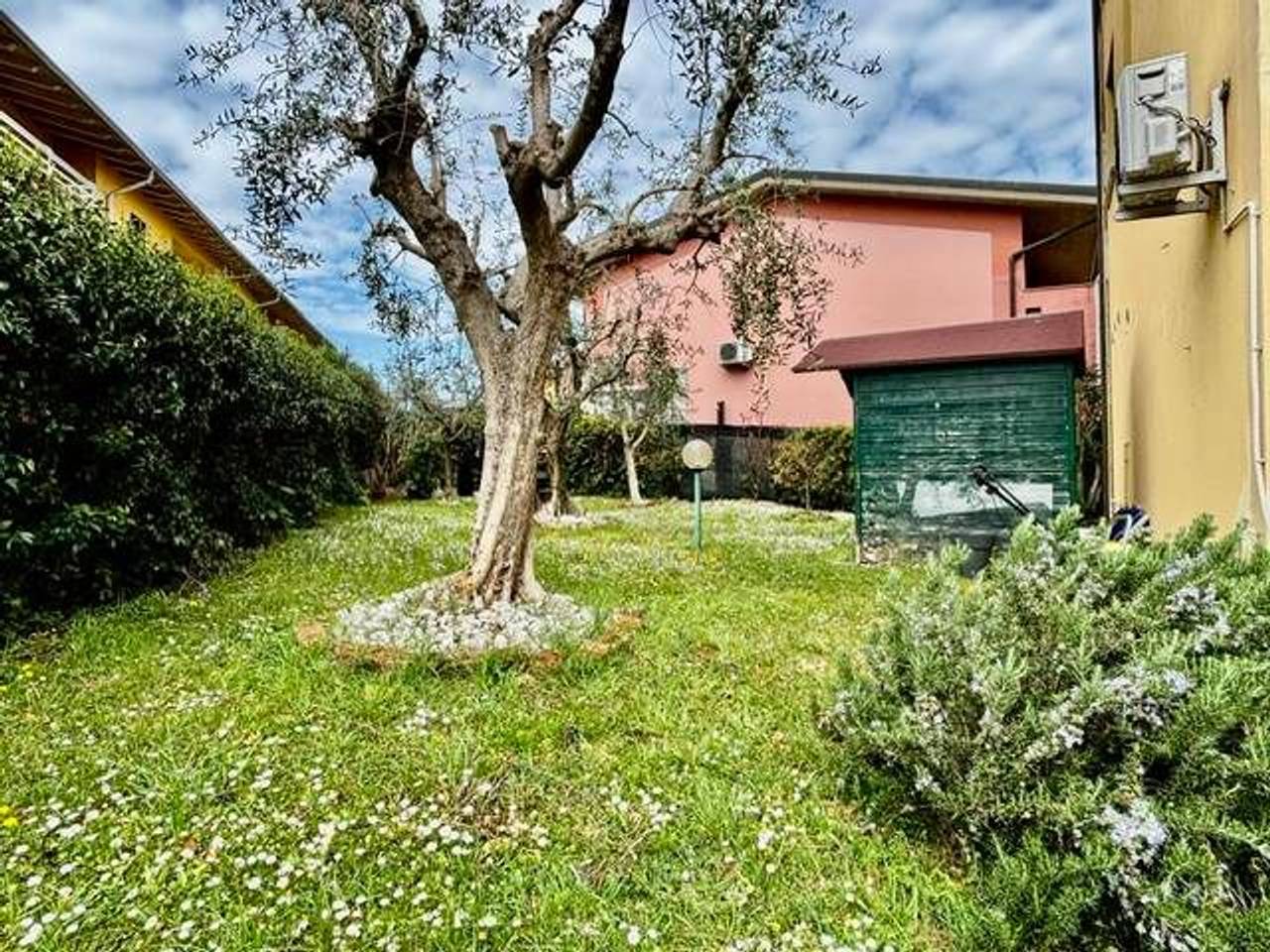 immagine annuncio 3 di 15