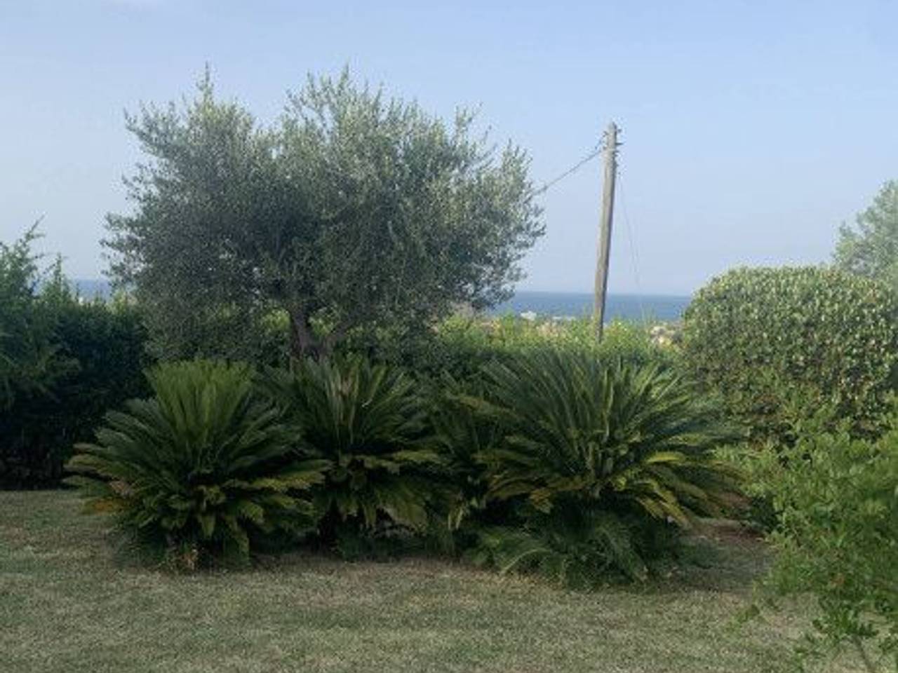 immagine annuncio 8 di 11