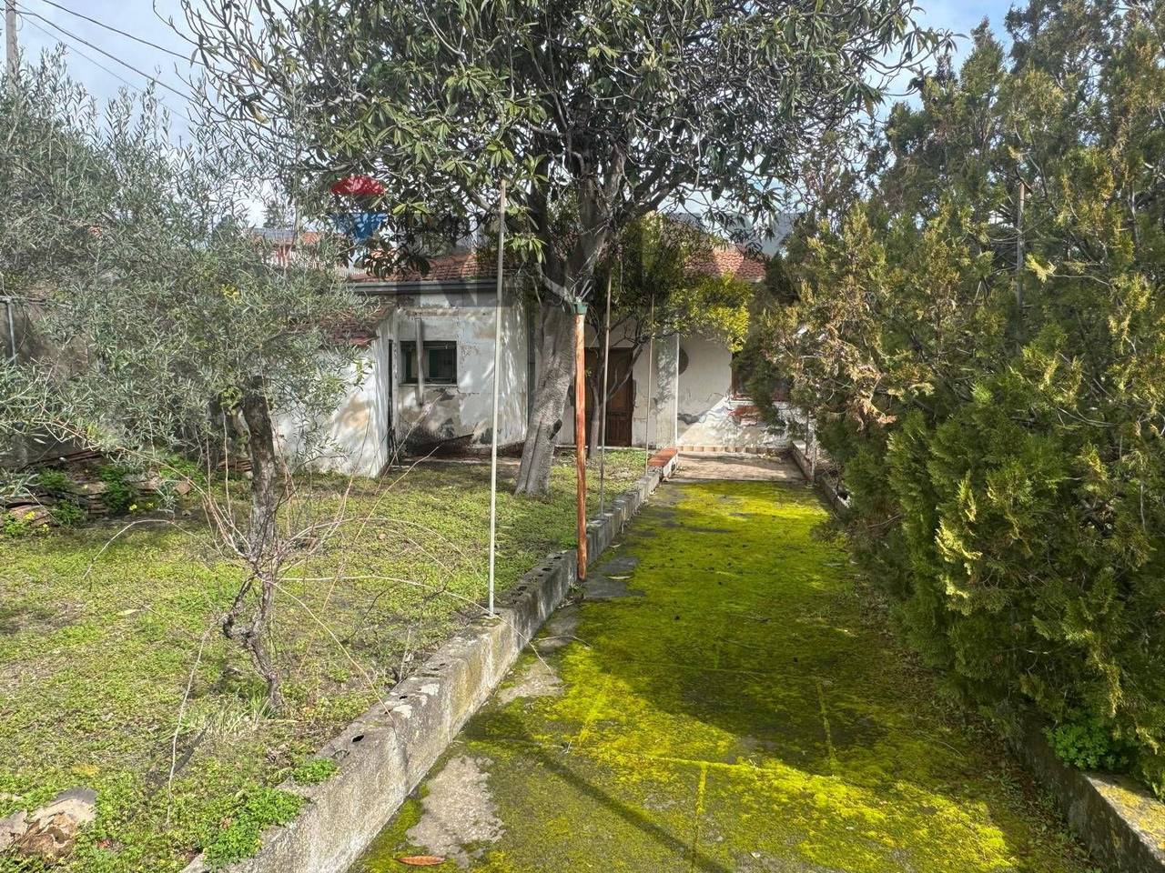 immagine annuncio 3 di 6