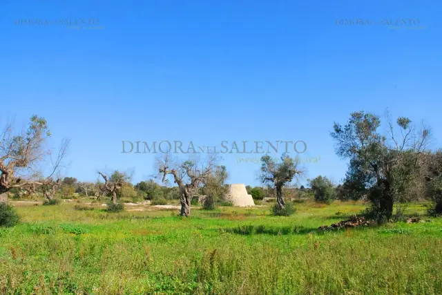 Terreno edificabile in Sp 339, Salve - Foto 1