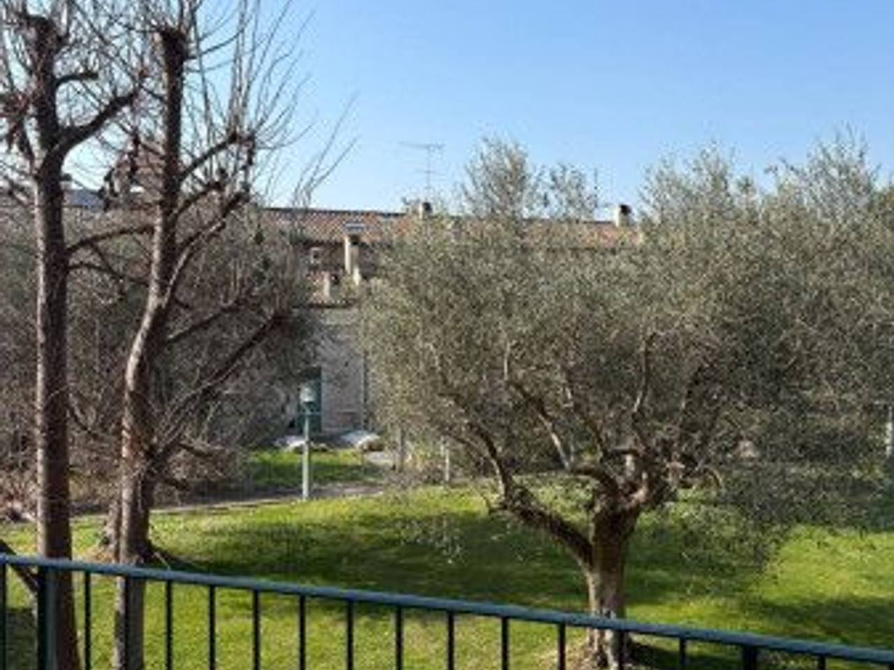 immagine annuncio 9 di 12