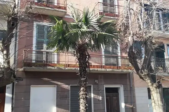 insertion image