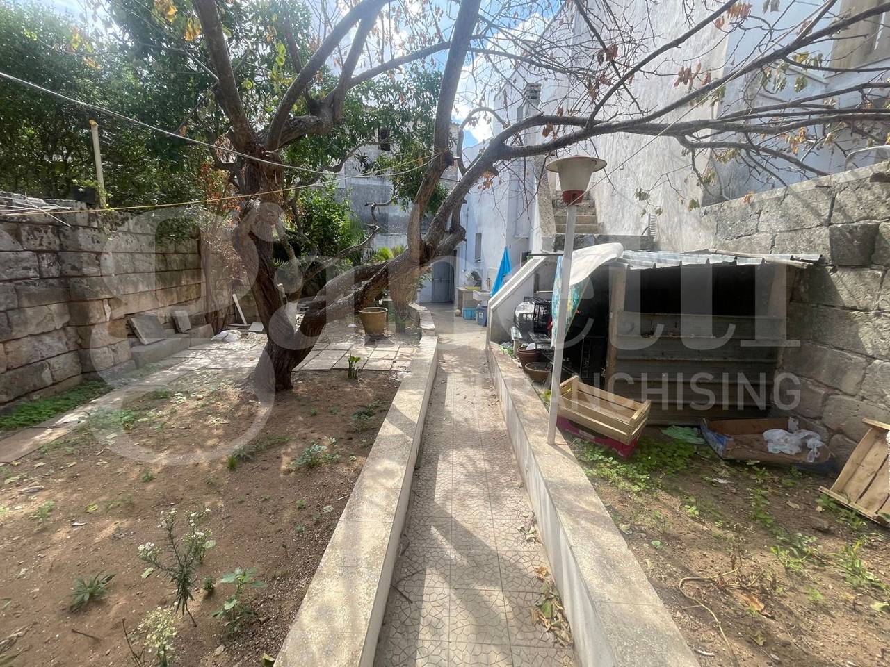 immagine annuncio 11 di 14