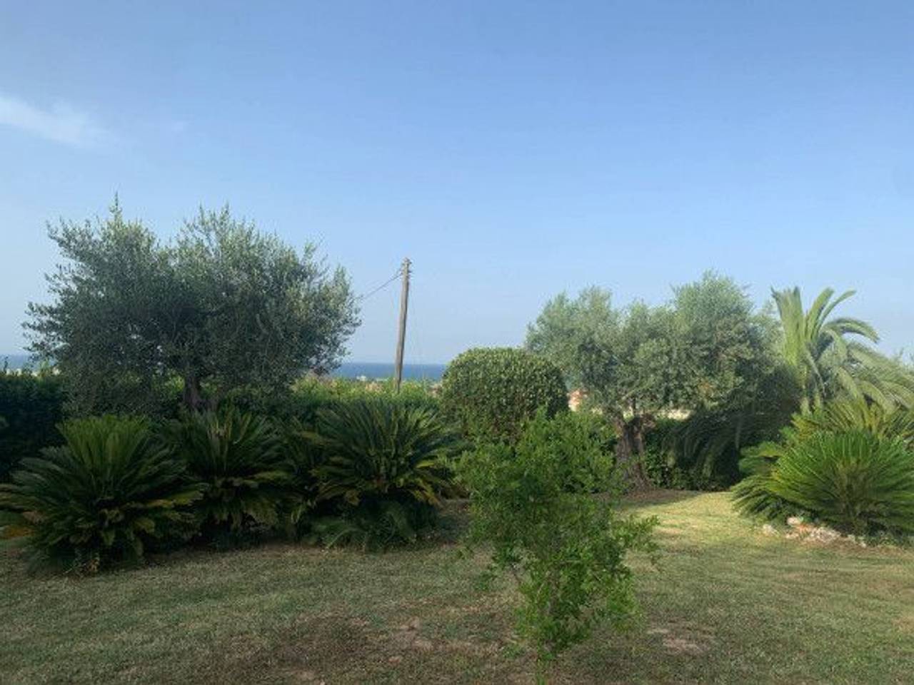 immagine annuncio 6 di 11