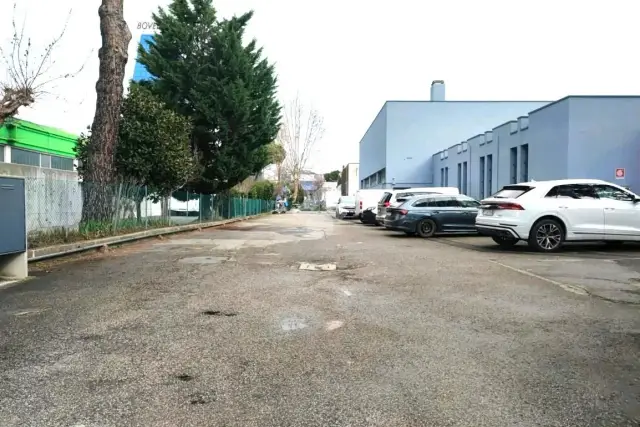 insertion image