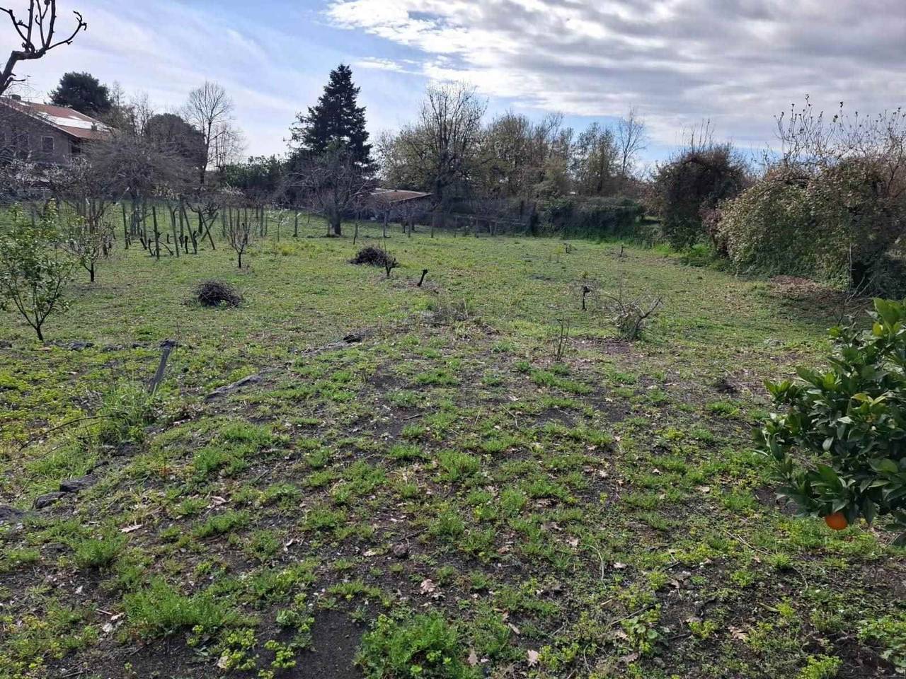 immagine annuncio 6 di 9