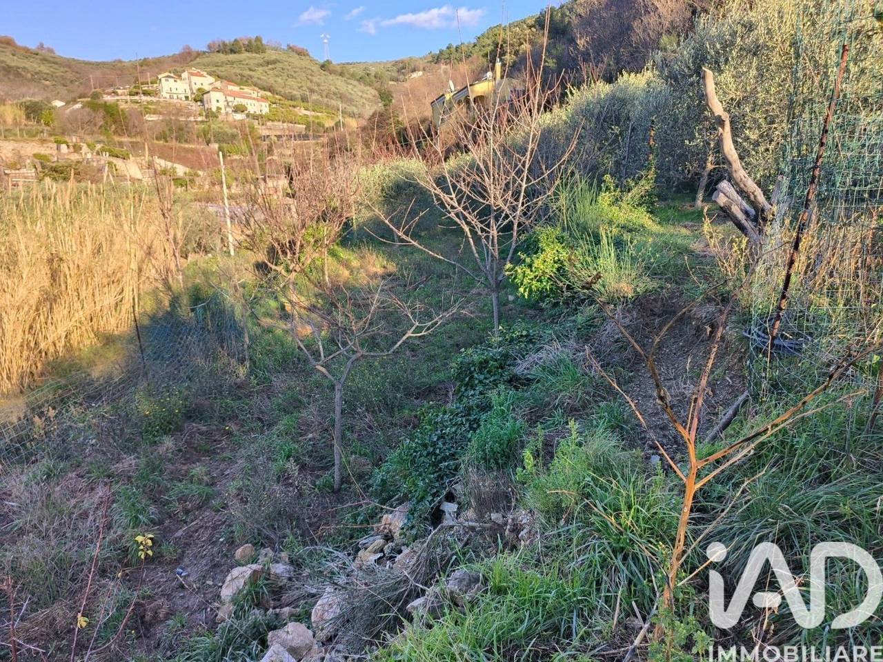 immagine annuncio 13 di 15