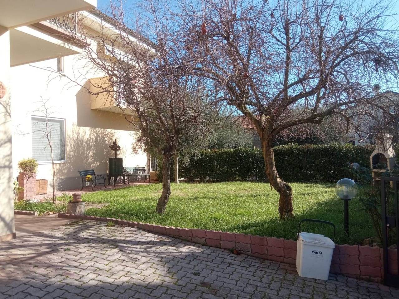 immagine annuncio 5 di 15