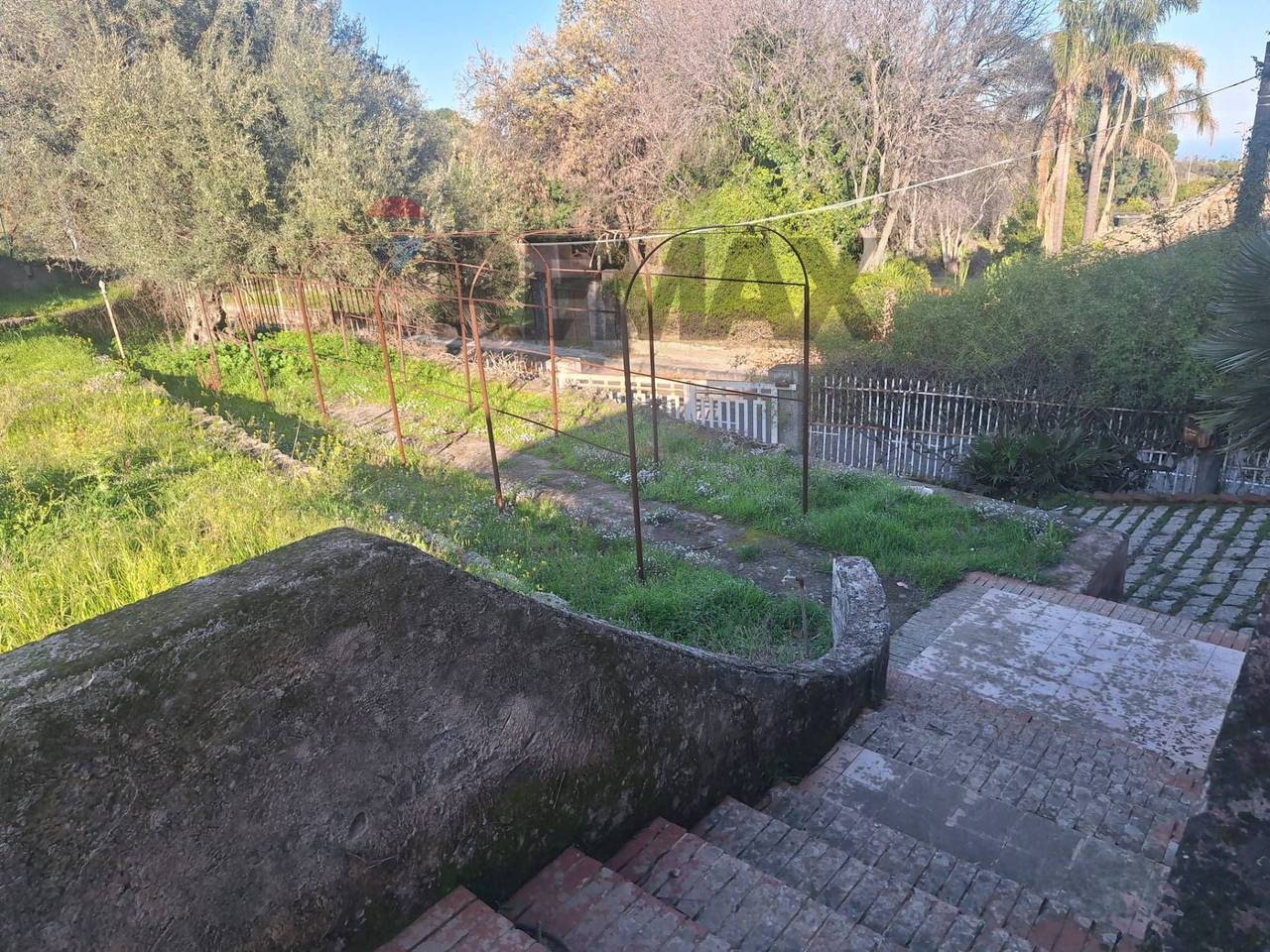 immagine annuncio 12 di 14
