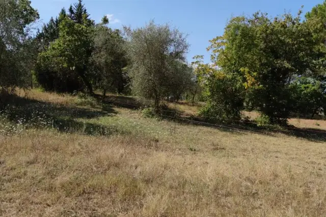 Terreno agricolo in Località Onci-Gracciano, Colle di Val d'Elsa - Foto 1