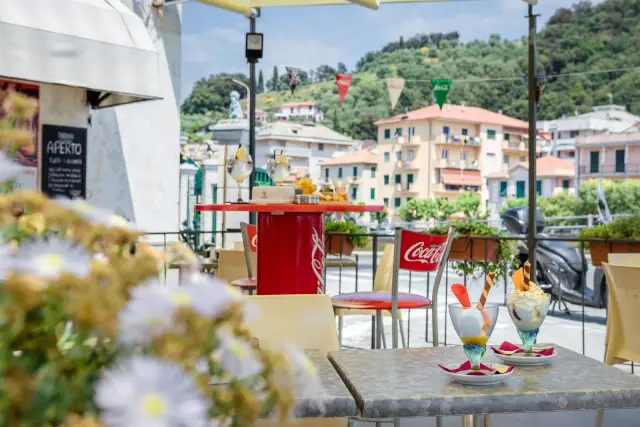 Geschäft in Via del Petronio 200, Sestri Levante - Foto 1