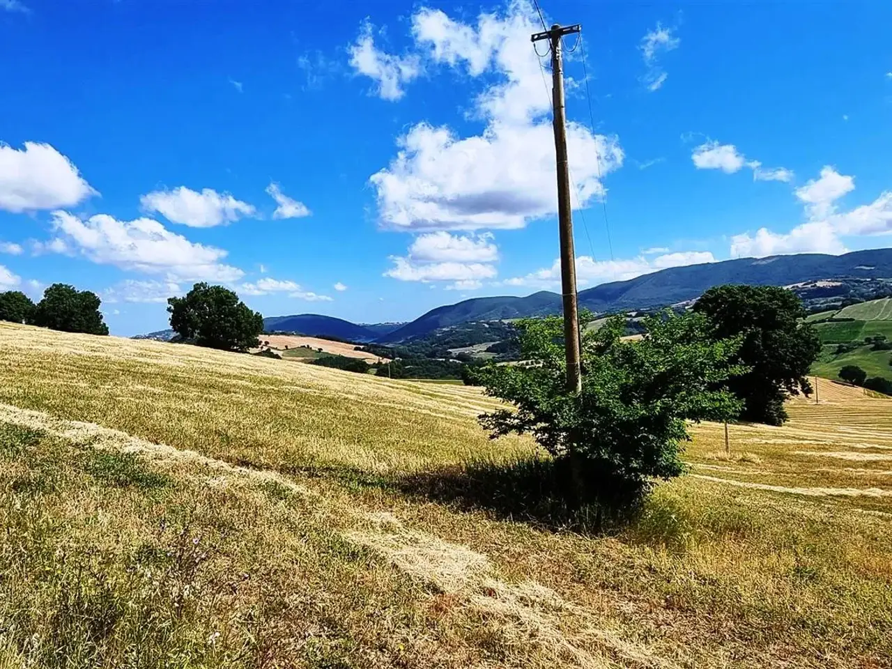 Azienda agricola in , San Severino Marche, {3} - Foto 1