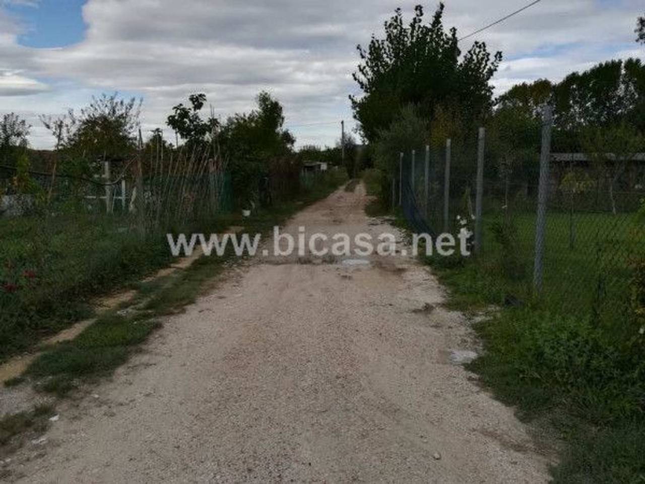 immagine annuncio 2 di 6