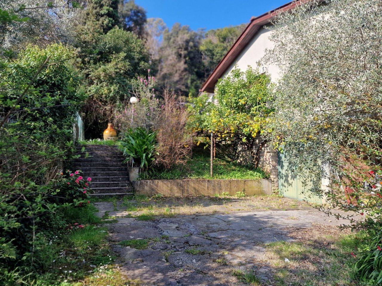 immagine annuncio 3 di 10