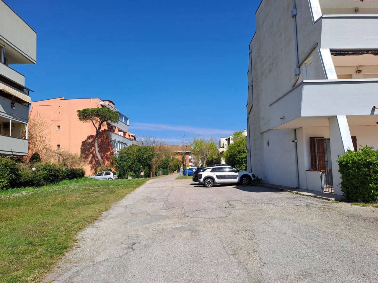 immagine annuncio 2 di 4