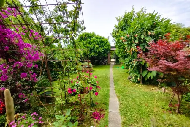 Porzione di casa, Pietrasanta - Foto 1