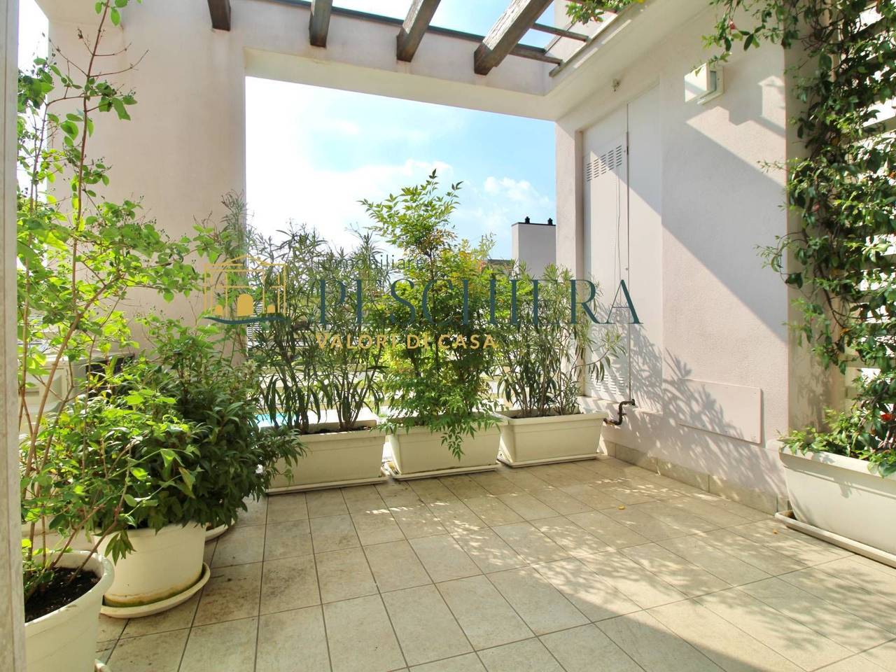 immagine annuncio 4 di 14