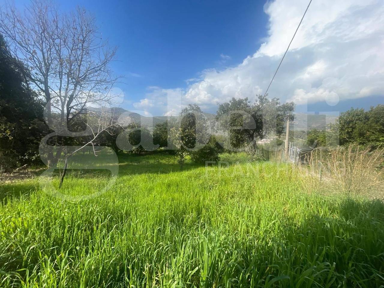 immagine annuncio 10 di 12