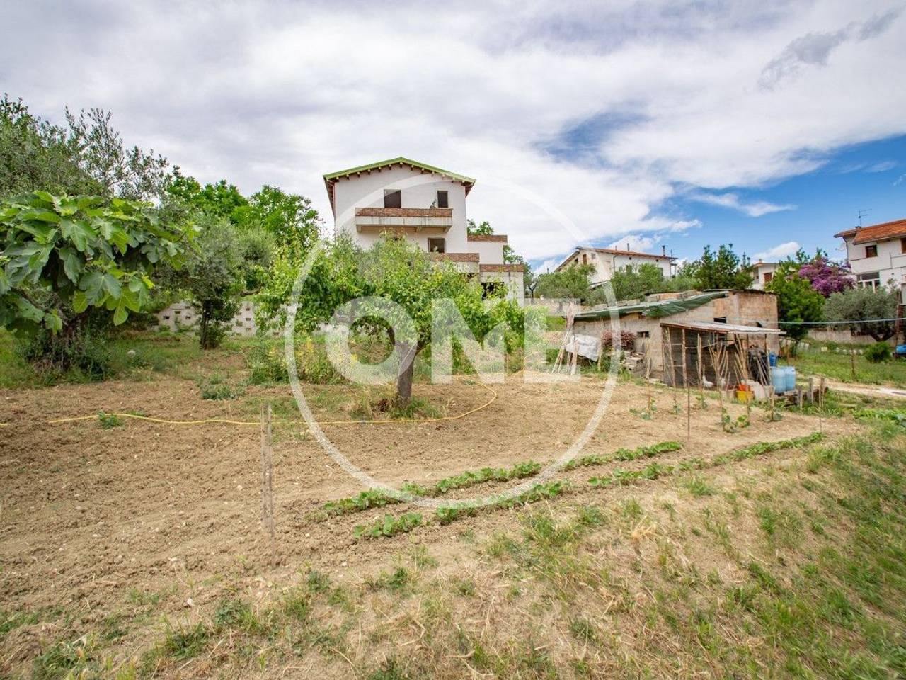 immagine annuncio 13 di 15