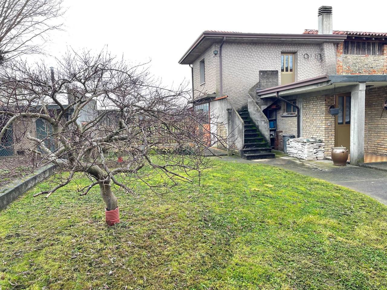 immagine annuncio 12 di 14