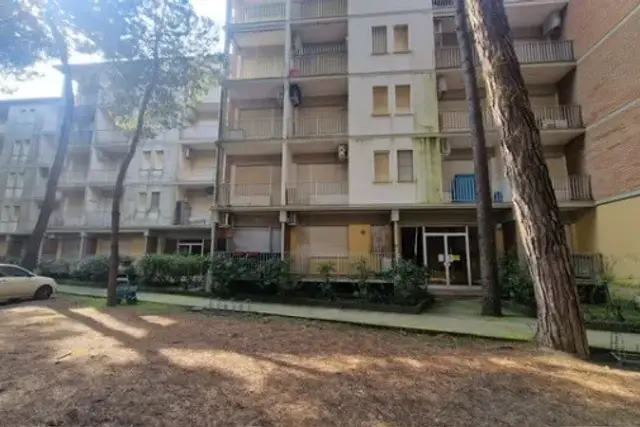 insertion image