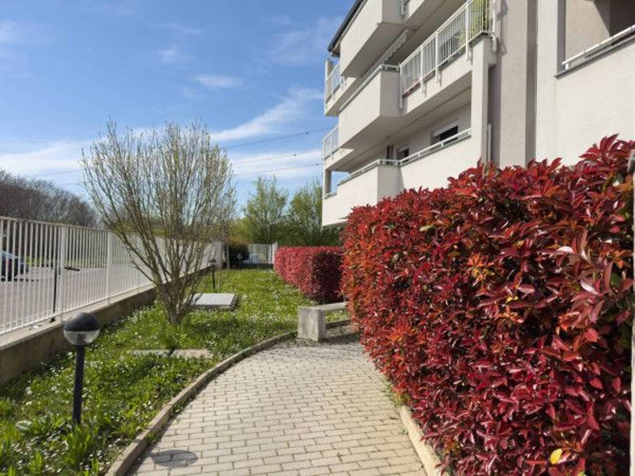 immagine annuncio 3 di 15