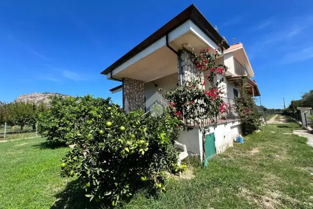 insertion image