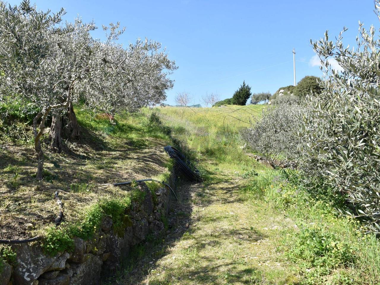 immagine annuncio 13 di 14