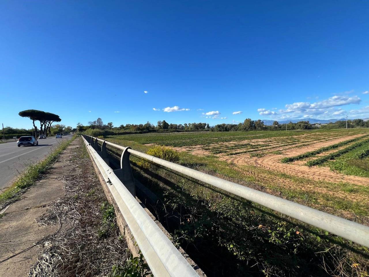 immagine annuncio 4 di 7