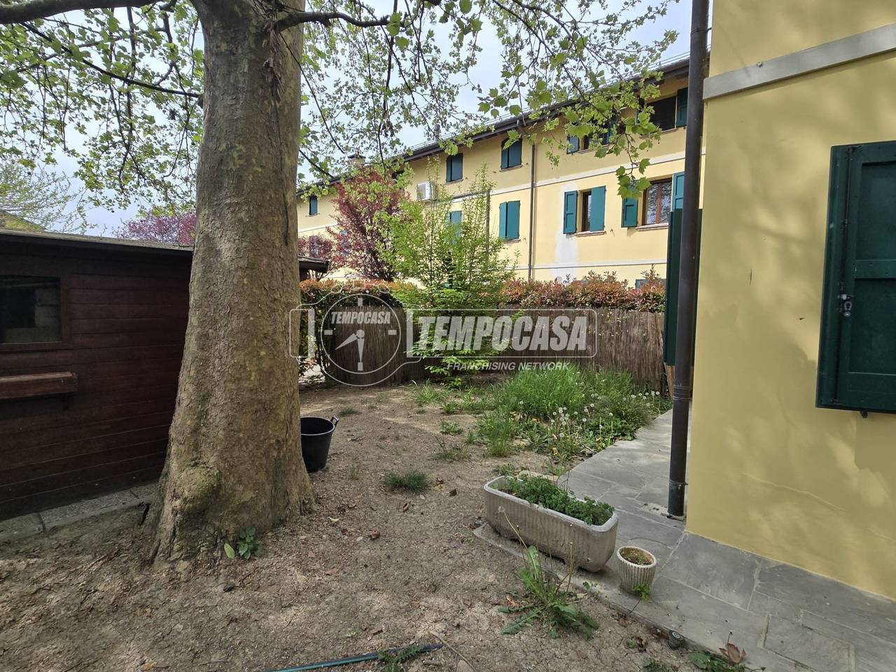 immagine annuncio 3 di 12