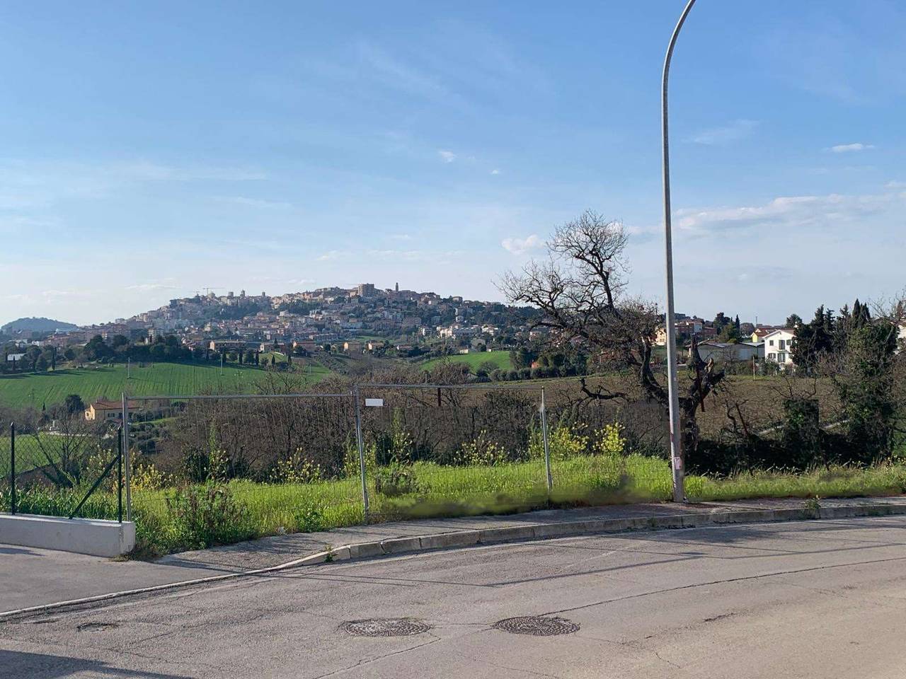 immagine annuncio 3 di 11