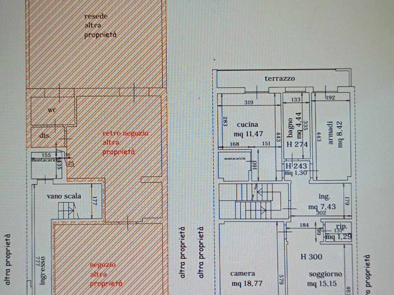 immagine annuncio 13 di 14