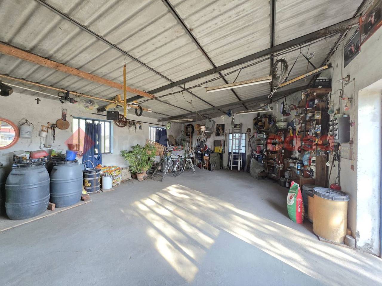 immagine annuncio 9 di 14