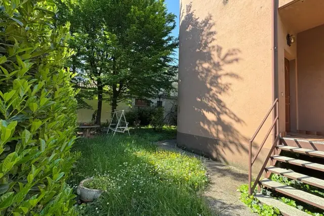 insertion image