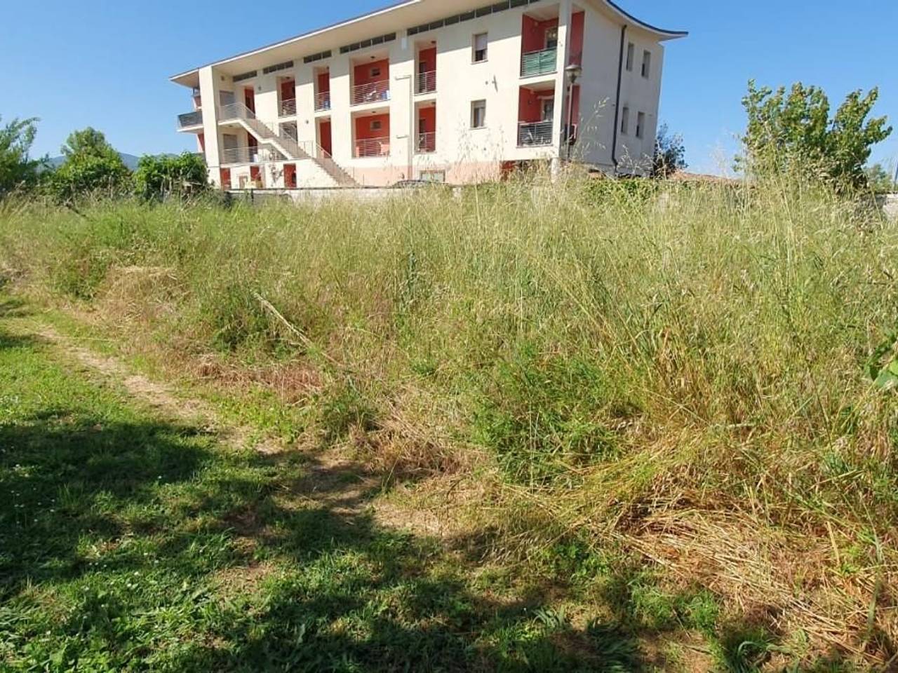 immagine annuncio 2 di 11