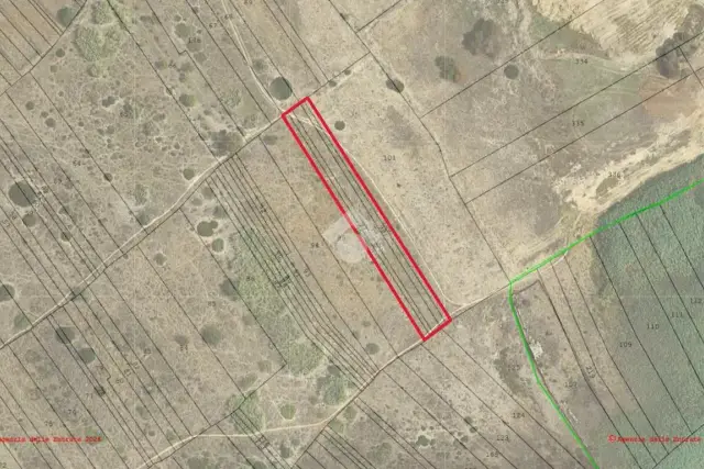 insertion image